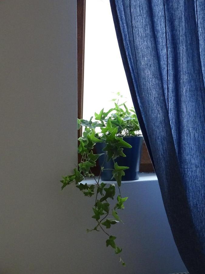 Blue Apartment بلغراد المظهر الخارجي الصورة